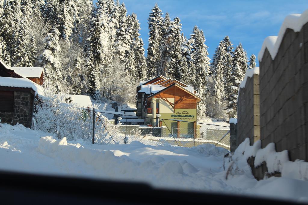 Pine Wood Apartment Vyšné Ružbachy Екстериор снимка
