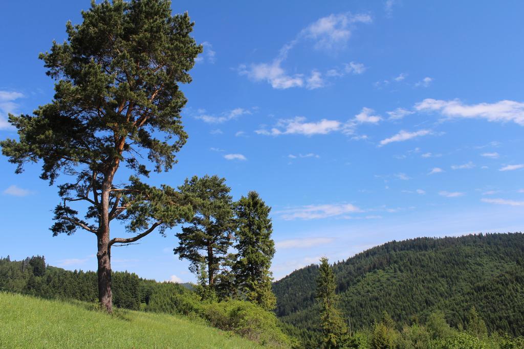 Pine Wood Apartment Vyšné Ružbachy Екстериор снимка