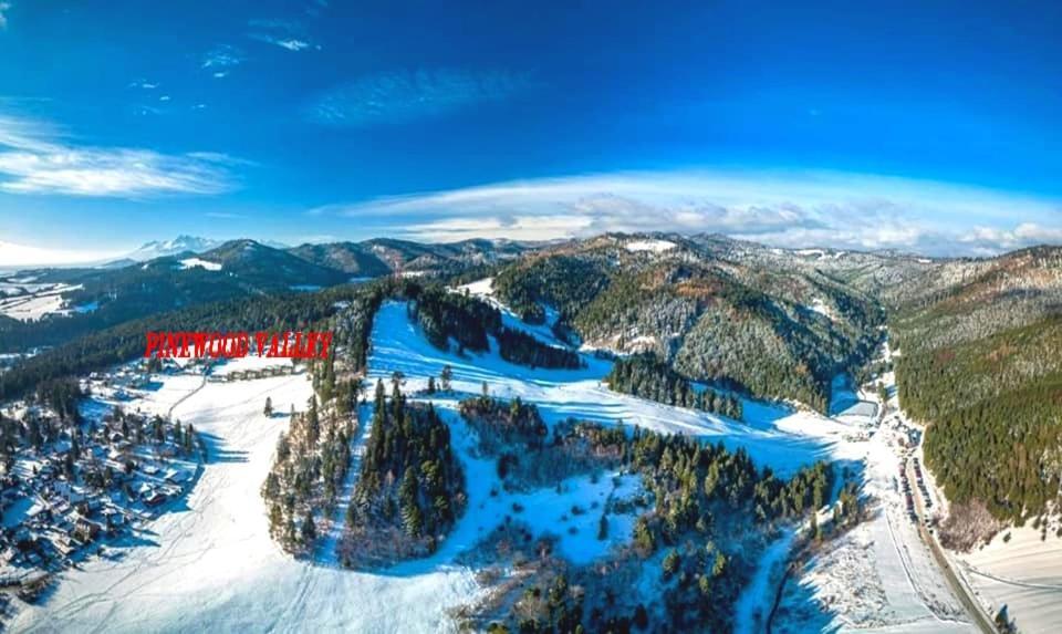 Pine Wood Apartment Vyšné Ružbachy Екстериор снимка